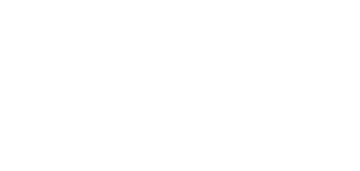 MarketBridge
